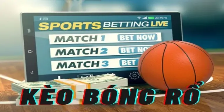 Tìm Hiểu Cá Cược Bóng Rổ 789WIN: Hành Trang Cho Người Mới Chơi 2 Tìm Hiểu Cá Cược Bóng Rổ 789WIN: Hành Trang Cho Người Mới Chơi