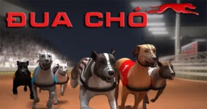 Cách Chơi Game Nhanh Đua Chó Tại 789WIN Hướng Dẫn Chi Tiết
